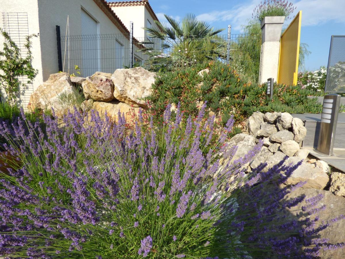 La Villa Du Saule Salles-dʼAude Esterno foto